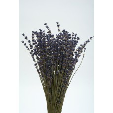LAVENDER FRENCH Natural 11'-15"- OUT OF STOCK